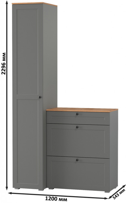 Остин Прихожая 10, цвет серый графит/дуб крафт золотой, ШхГхВ 120х54,3х229,6 см., универсальная сборка