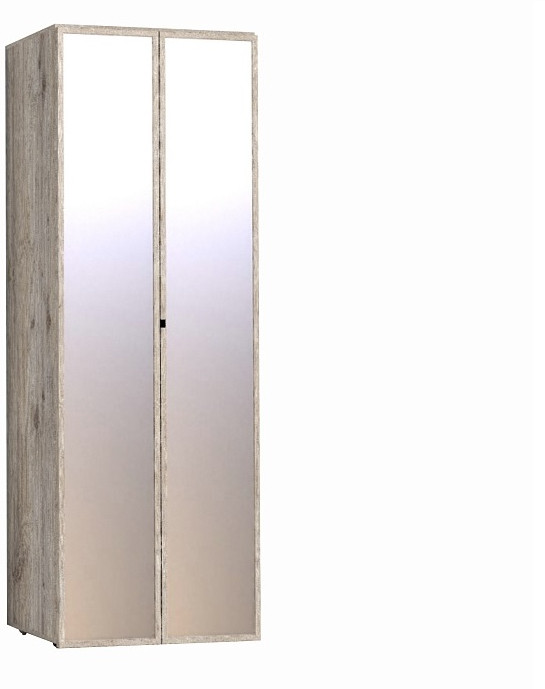 Шкаф для одежды с фасадами Зеркала (2 шт) Натуре 54 гаскон