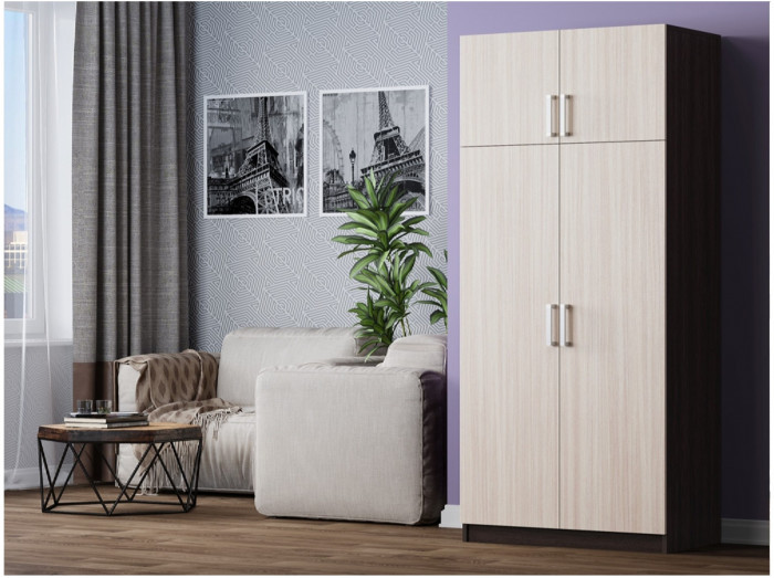 Шкаф №2 2х створчатый (Ясень шимо темный / светлый)