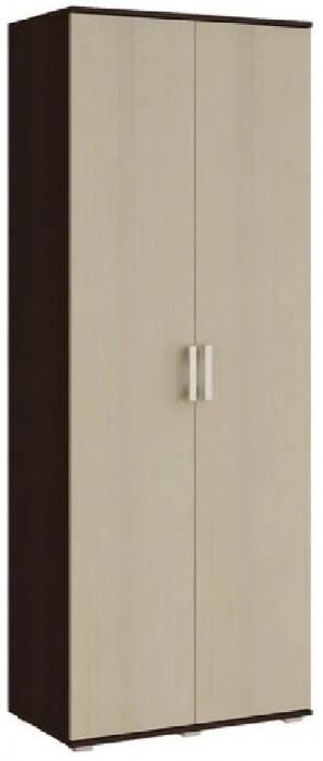 Виста Шкаф 2-х створчатый (Ясень шимо темный / светлый)