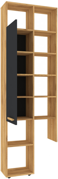 Шкаф с открытыми полками Кровн 22. Графит, Дуб золотистый