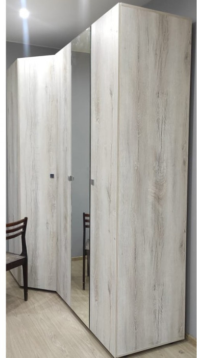 Шкаф для одежды с зеркалом Нео 54, дуб шавиниган